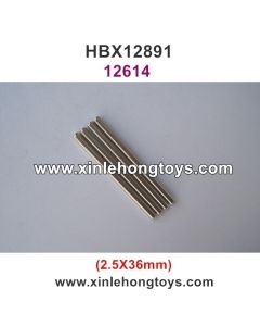HBX 12891 Parts Lower Suspension Pins 12614