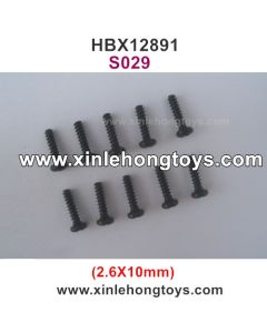 HaiBoXing HBX 12891 Parts Screw S029